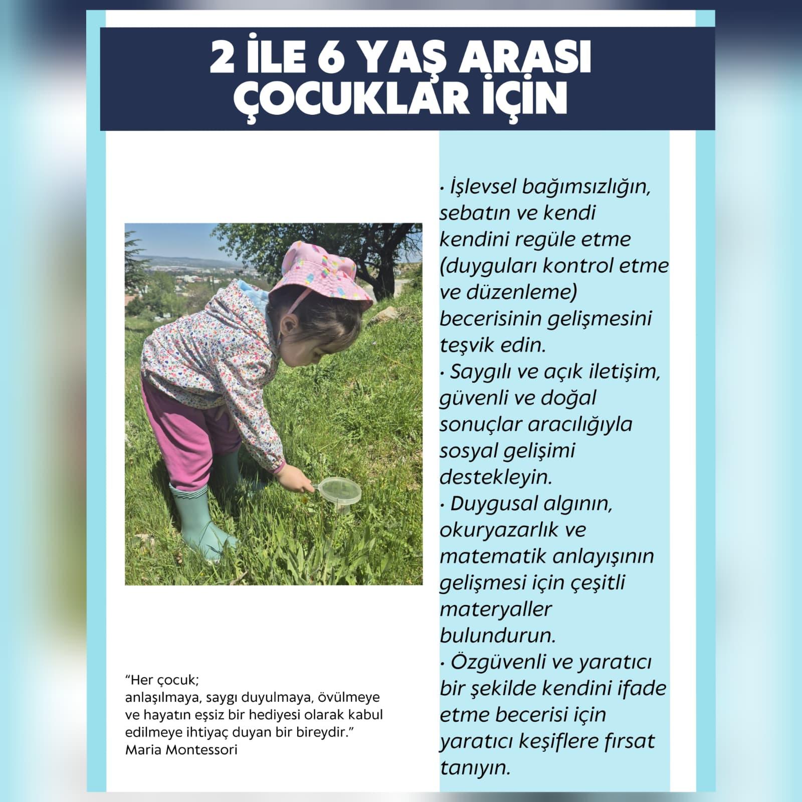 Fotoğraflar