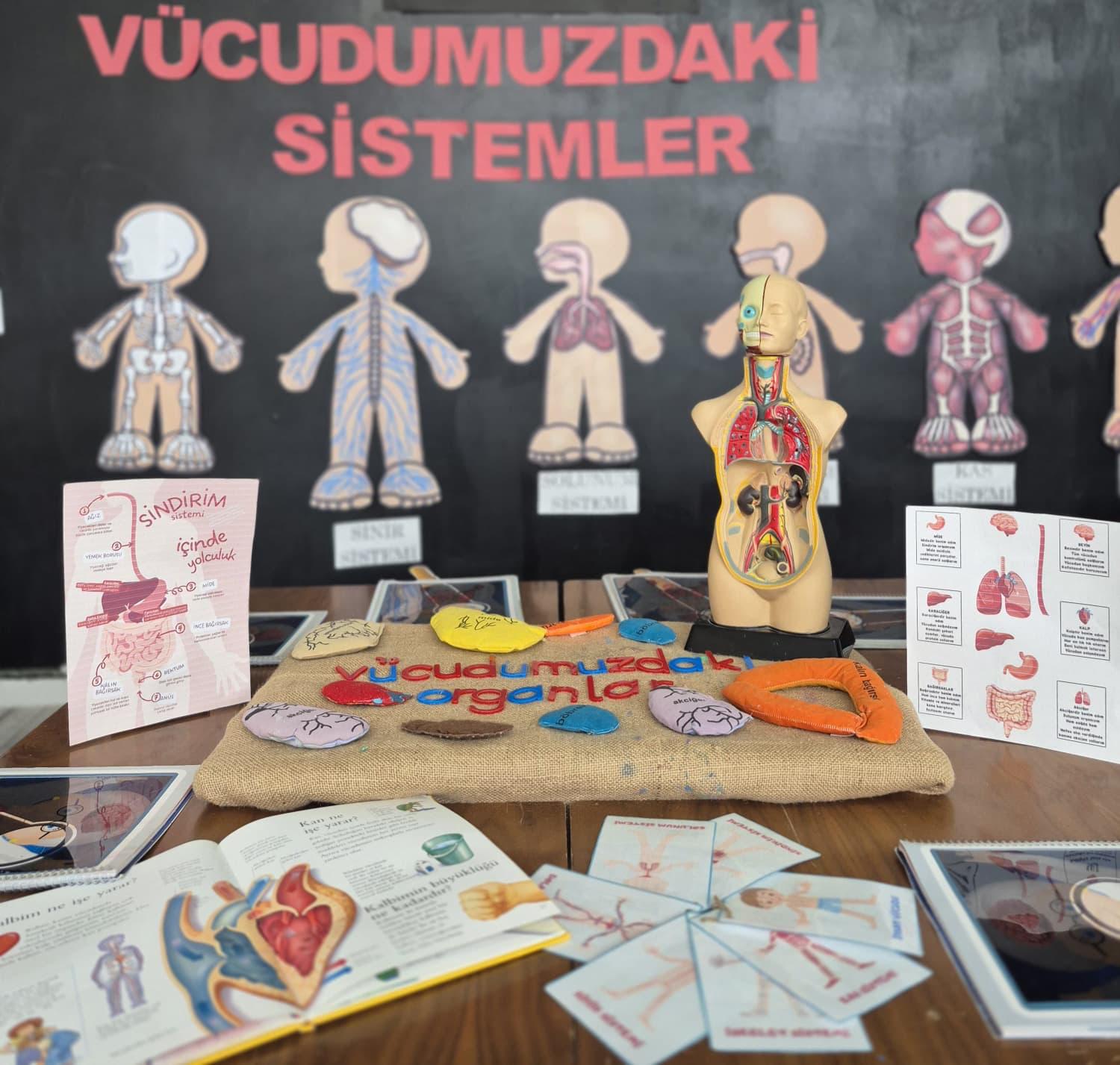 Fotoğraflar