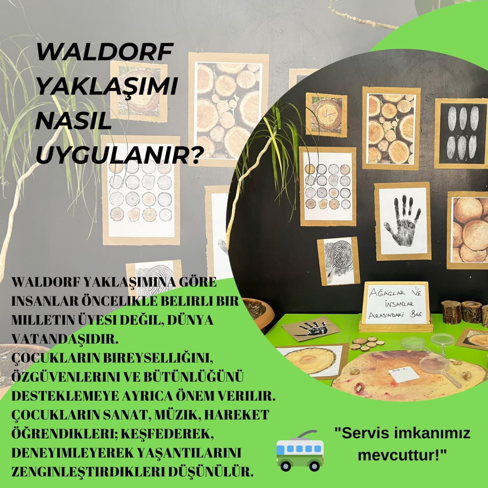 Fotoğraflar