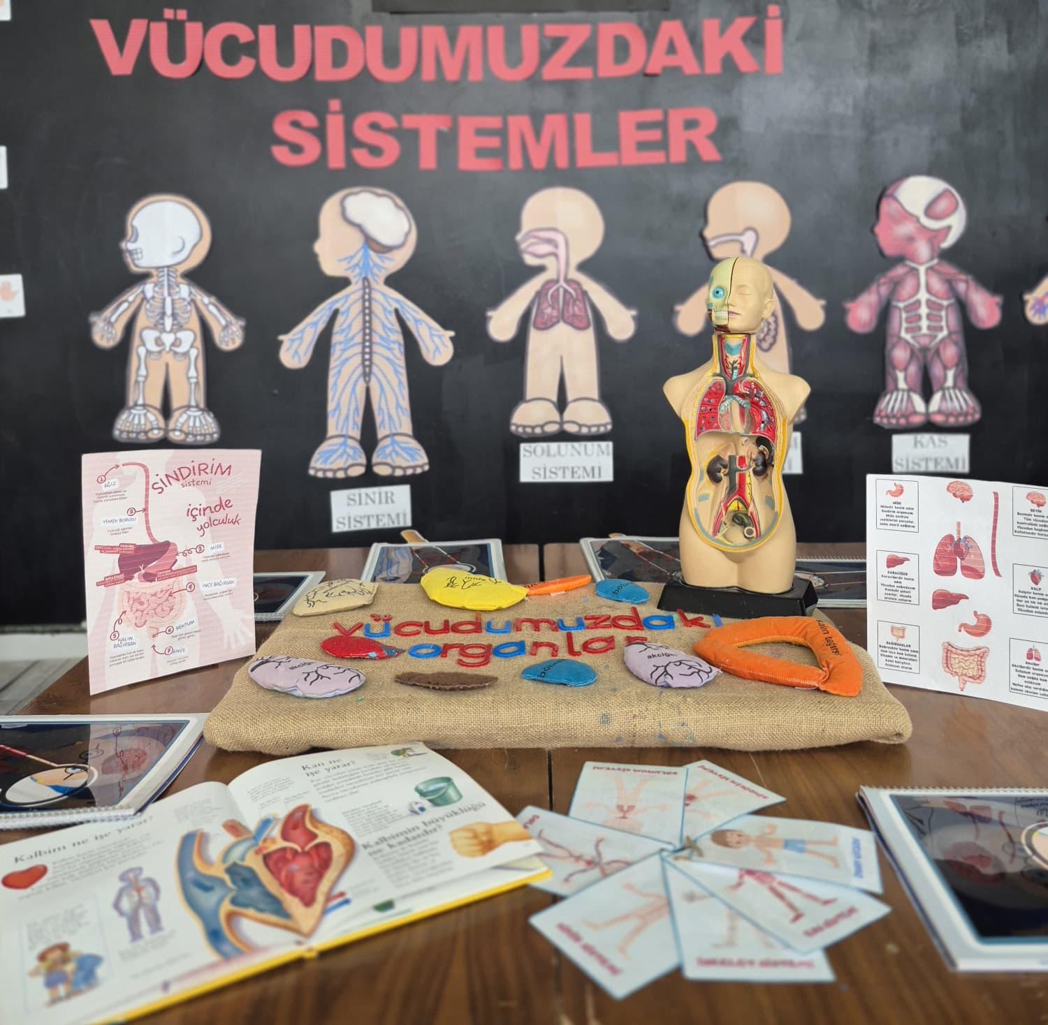 Fotoğraflar