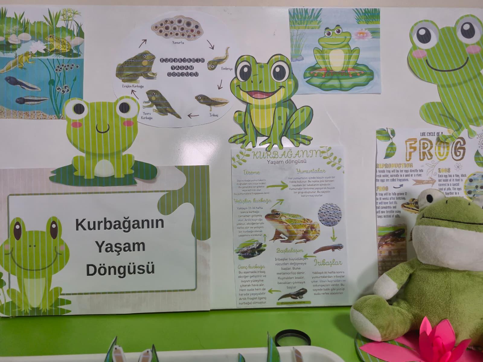 Fotoğraflar