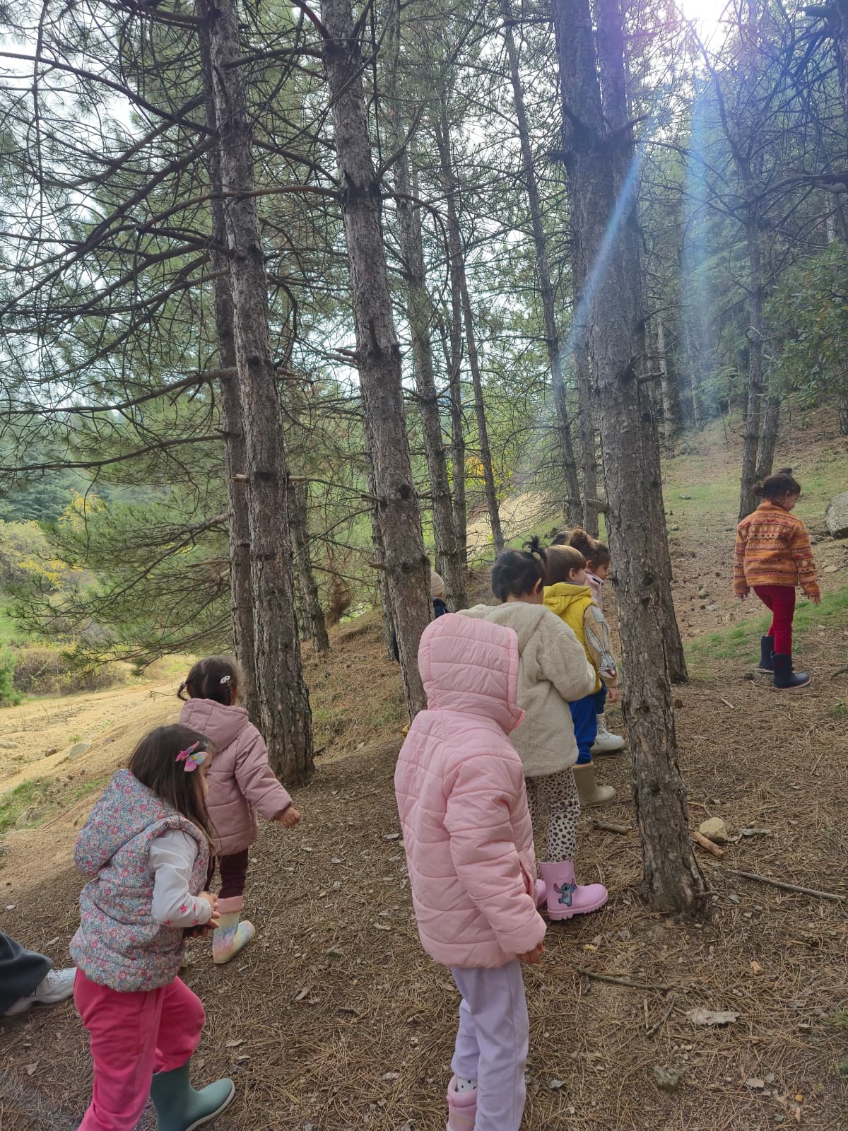 Fotoğraflar