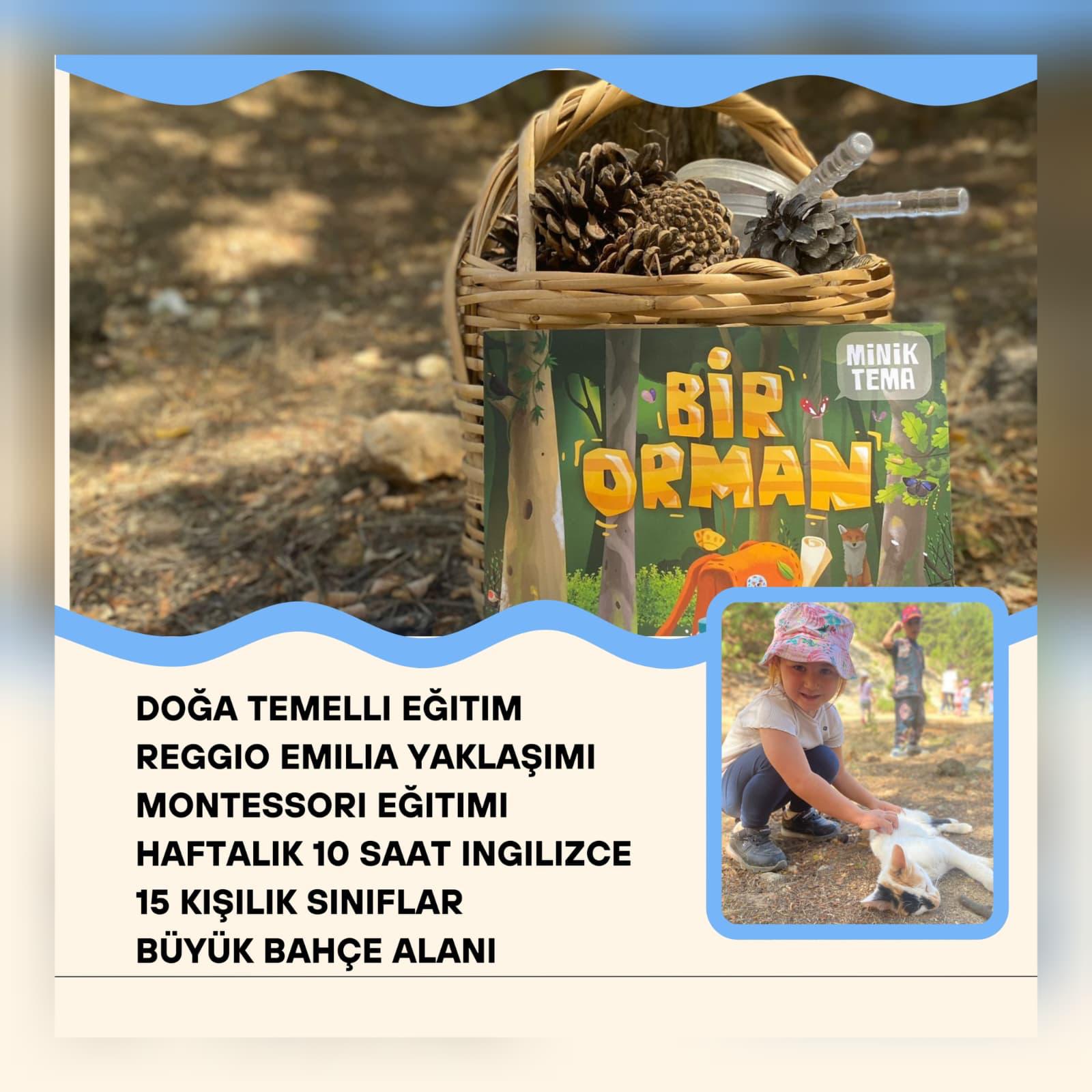 Fotoğraflar