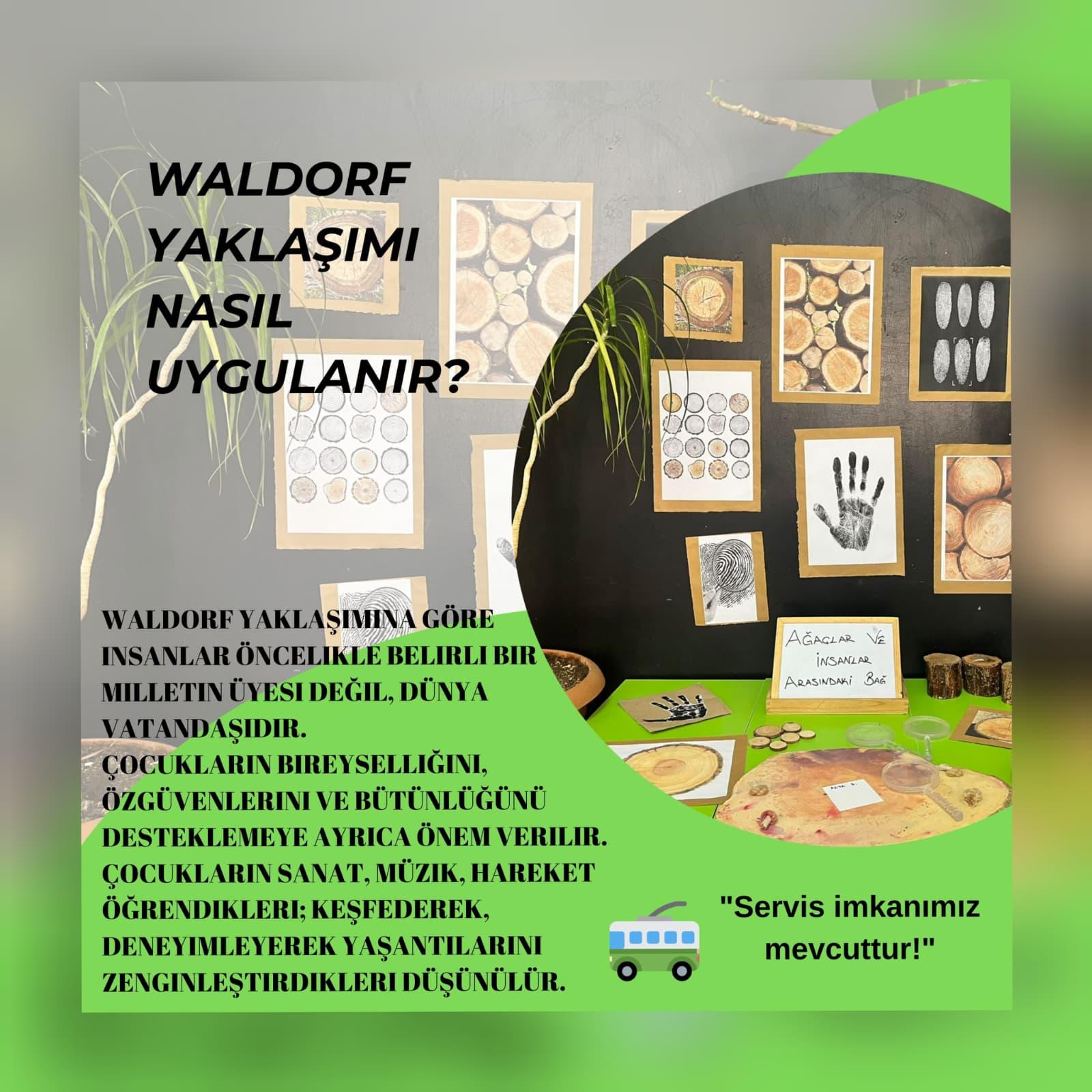 Fotoğraflar